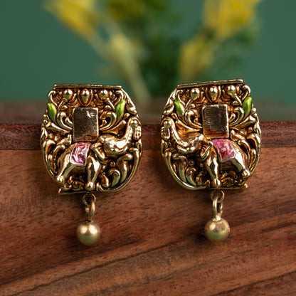 Padmashri Earring &amp; pendant