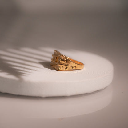 Sleek Ring