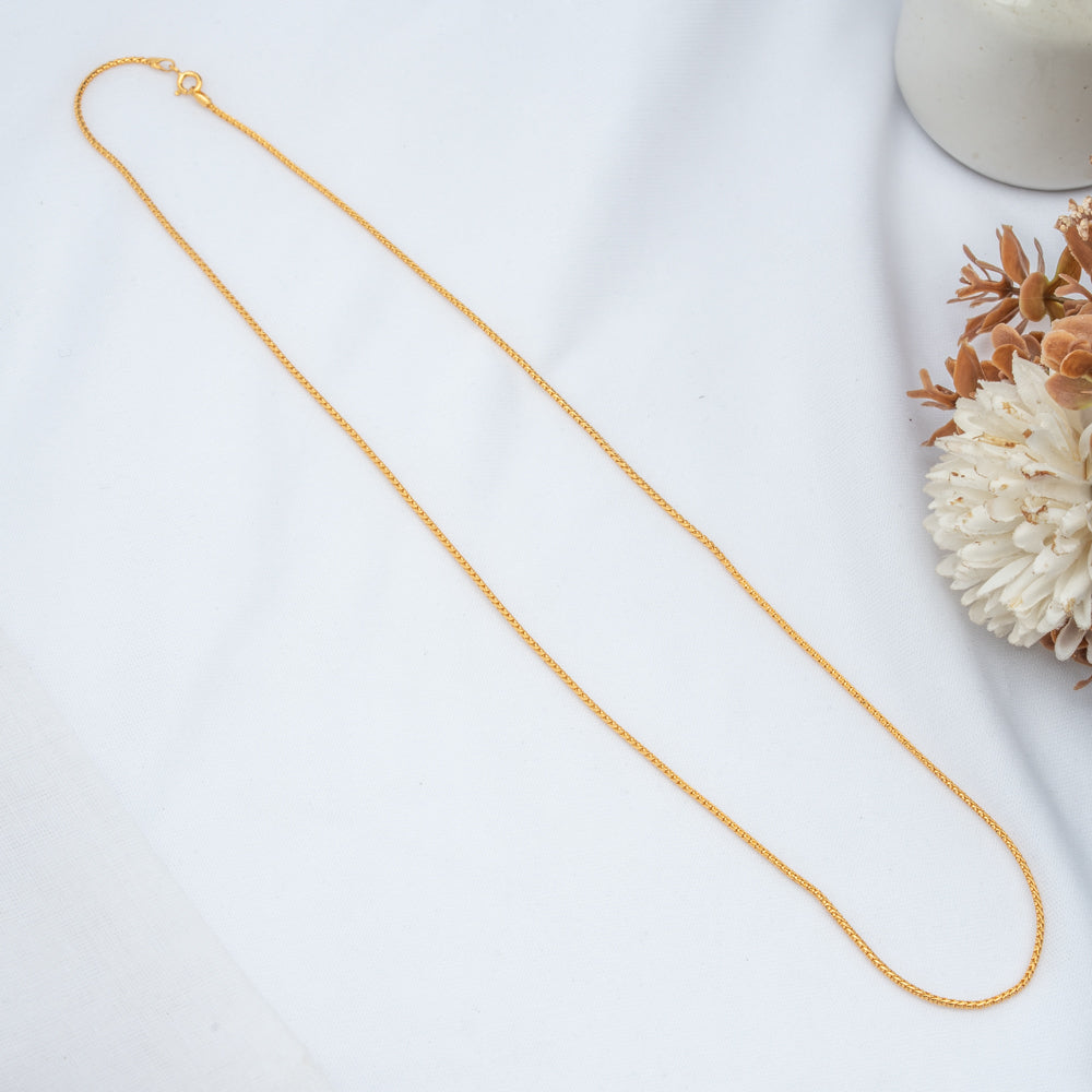 Shveta Chain