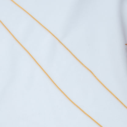 Shveta Chain