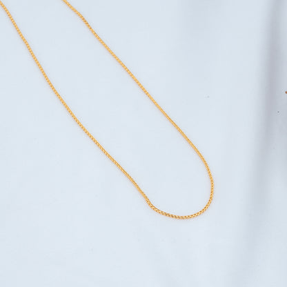 Shveta Chain