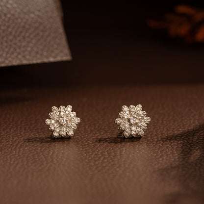 Zircon Studs