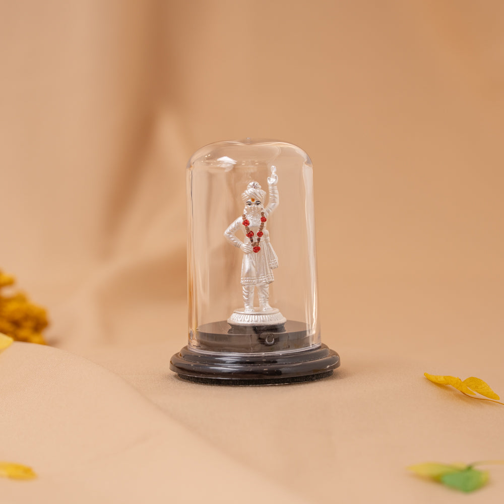 Swami Narayanan Idol