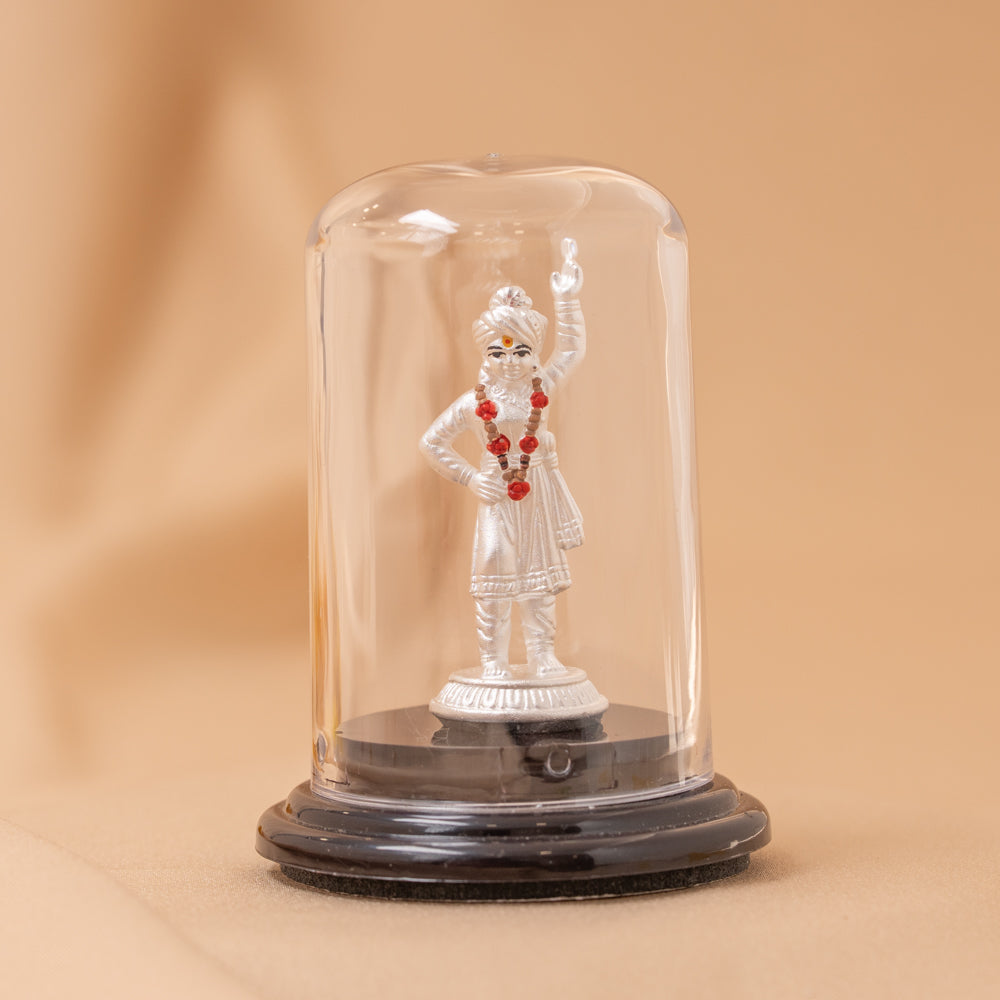 Swami Narayanan Idol