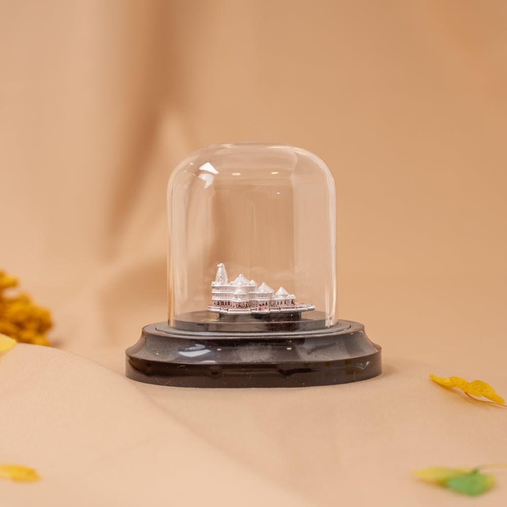 Ayodhya Ram Temple Idol