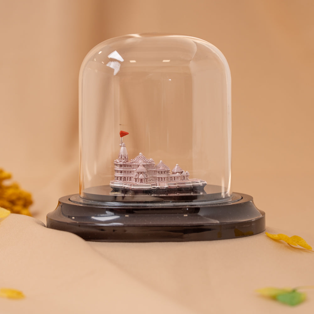 Ayodhya Ram Temple Idol