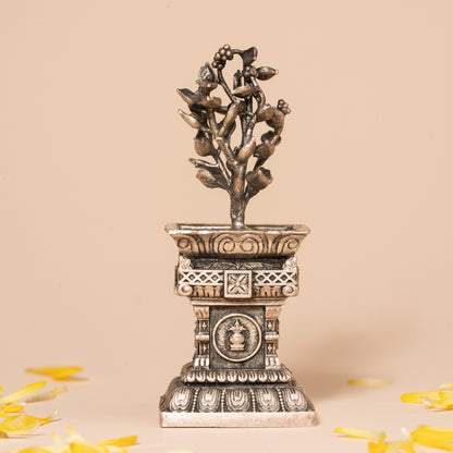 Tulasi Maadam Idol